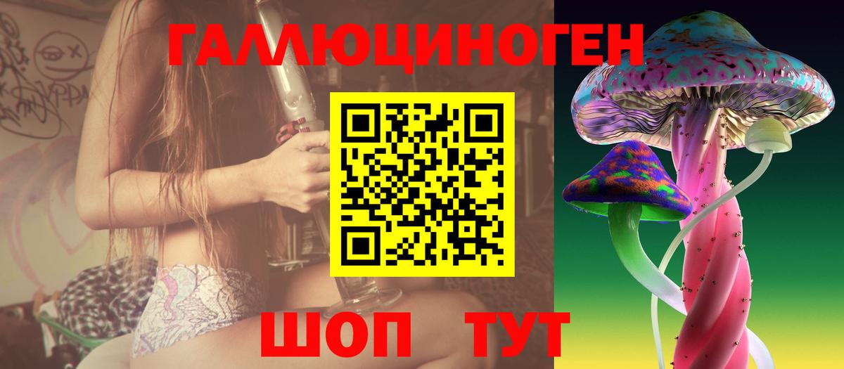 Псилоцибиновые грибы Cubensis  где купить наркотик  Дивногорск  Псилоцибиновые грибы мицелий  Вход с VPN 